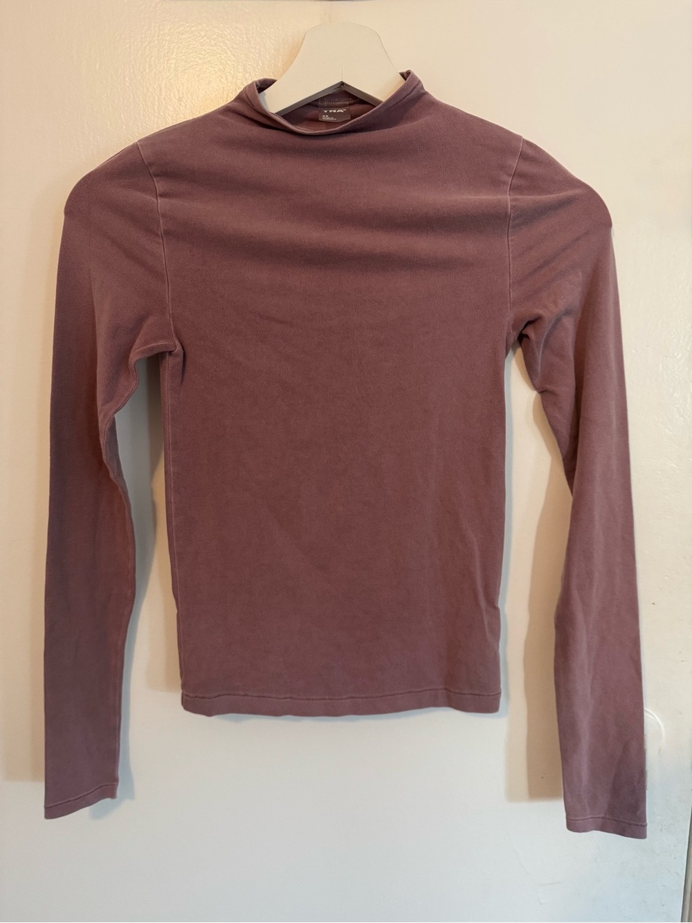 Aritzia Long Sleeve Mock Neck Top in Mauve